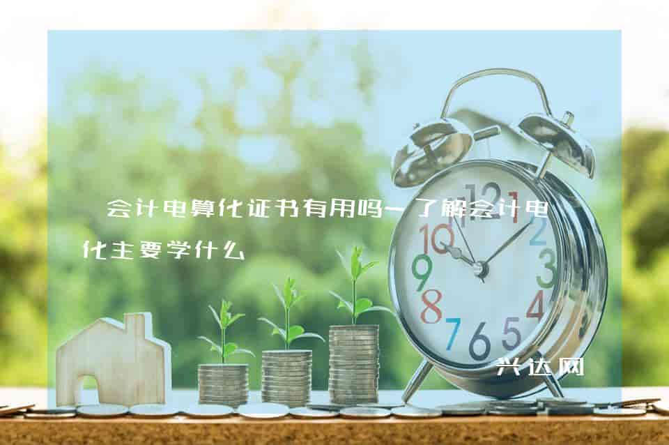 会计电算化证书有用吗-了解会计电算化主要学什么 