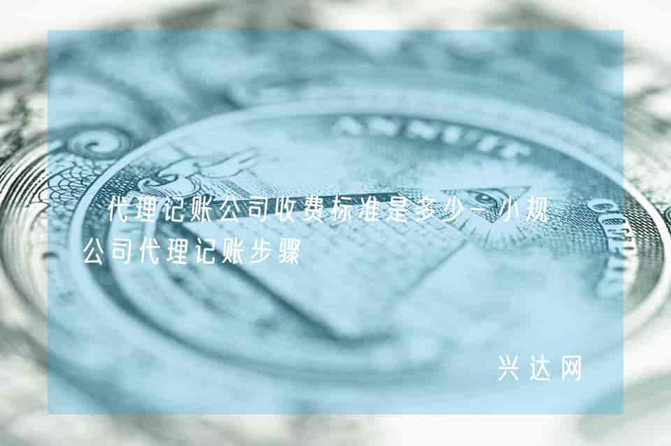 代理记账公司收费标准是多少-小规模公司代理记账步骤 