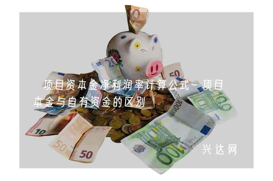 项目资本金净利润率计算公式-项目资本金与自有资金的区别 