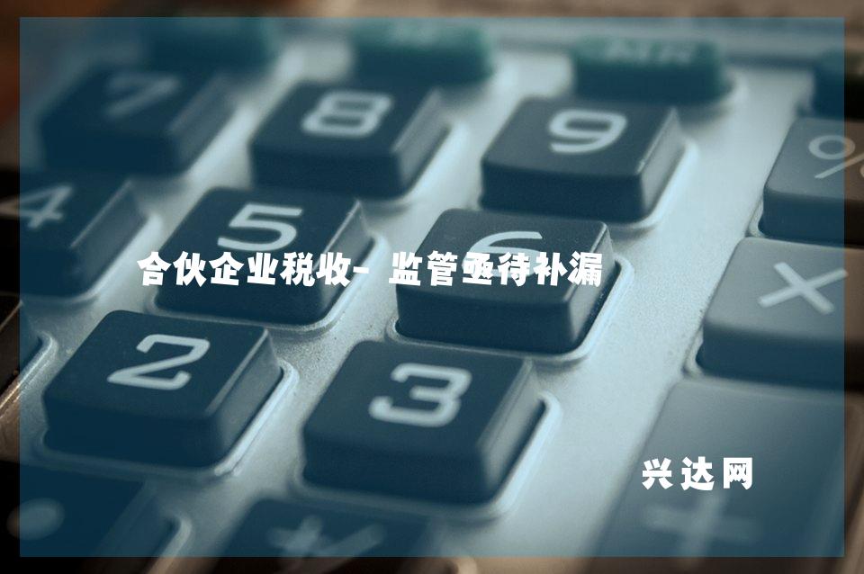 合伙企业税收-监管亟待补漏 