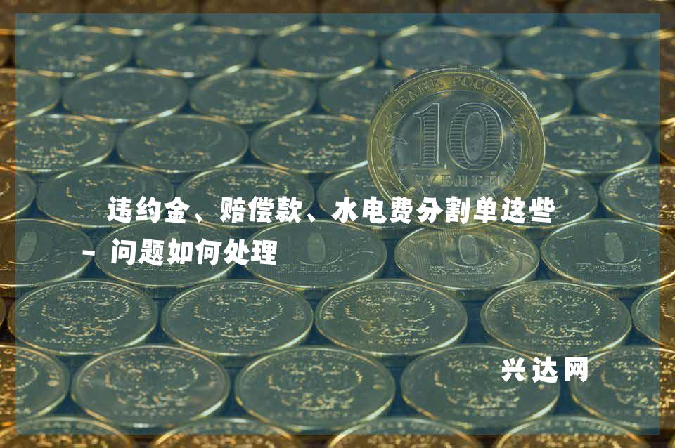 违约金、赔偿款、水电费分割单这些老-问题如何处理 