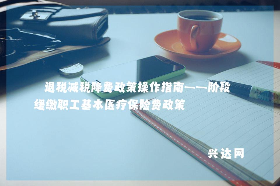 退税减税降费政策操作指南——阶段性缓缴职工基本医疗保险费政策 