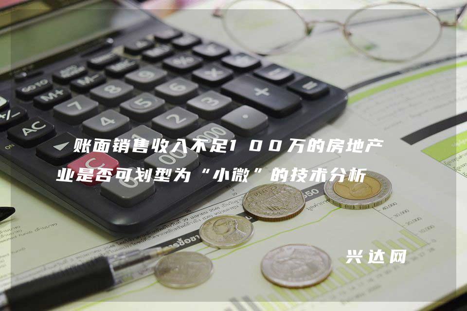 账面销售收入不足100万的房地产企业是否可划型为“小微”的技术分析 